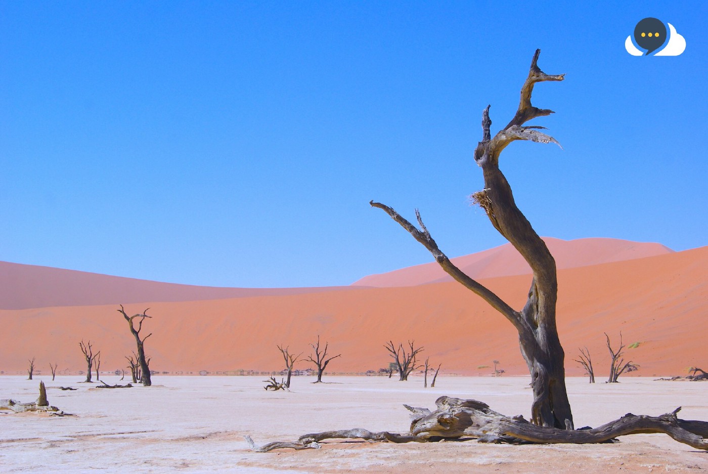 The death of forestry.io